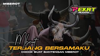 DJ TERBANG BERSAMAKU STYLE MBEROT BASS HOREG,COCOK BUAT BANTENGAN.