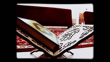 { سورة البلد  } القارئ علي أحمد المهري جوده عالية