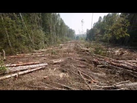 Крик Земли | Майкл Джексон | The Earth Song | Michael Jackson