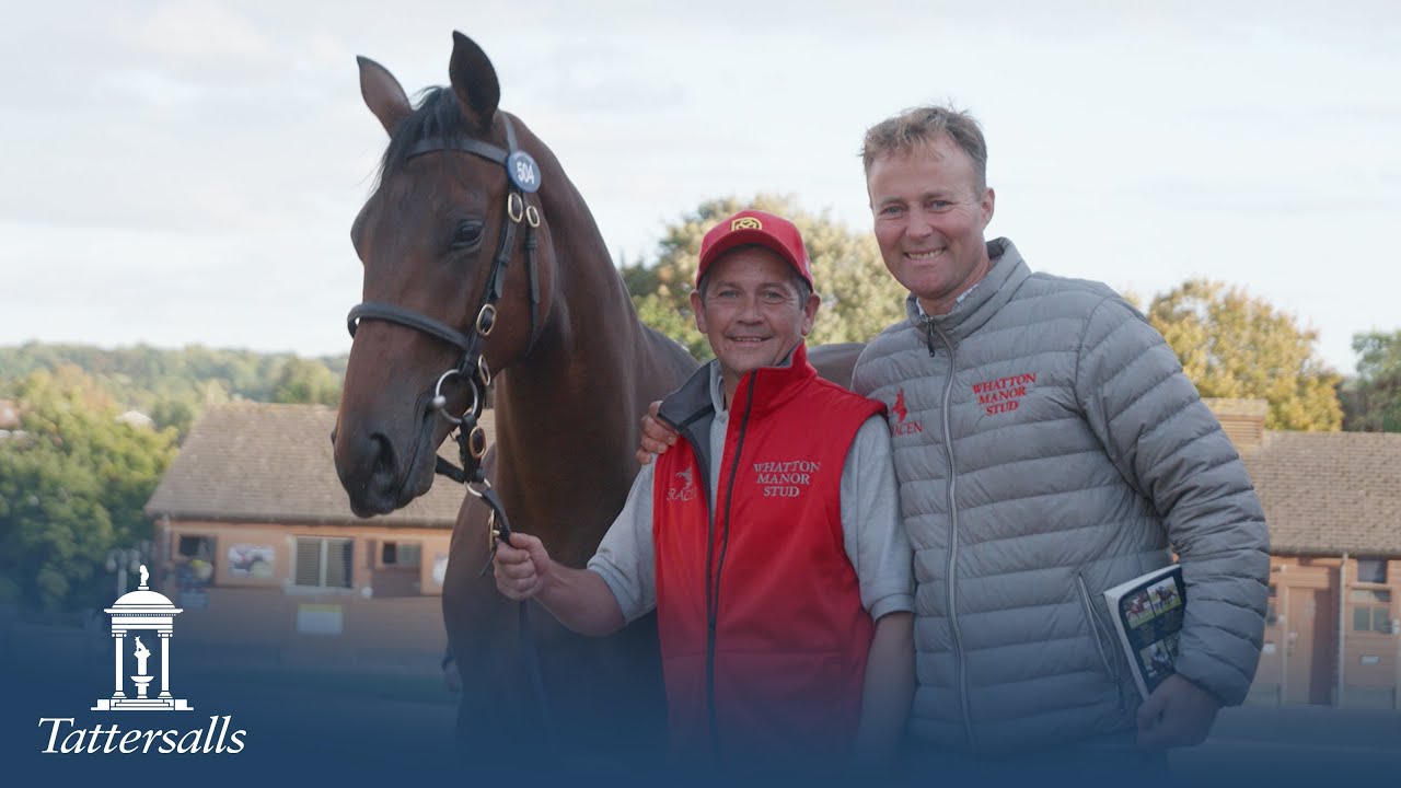 Tattersalls October Yearling Sale, Book 1 Day 3 Review 2022 - YouTube