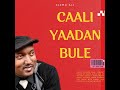 Official Caalli Yaadaan Bule Vibrant Song By Elemo Ali 2024 Remixed Visuals Official Caalli Yaadaan Bule Vibrant Song By Elemo Ali 2024 Remixed Visuals