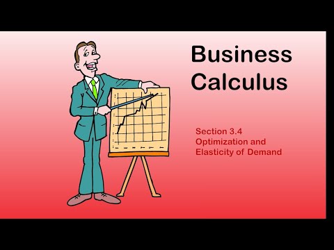 Business Calculus -