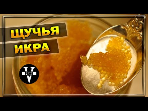 ЩУЧЬЯ ИКРА. Рецепт, польза и интересные факты об икре !