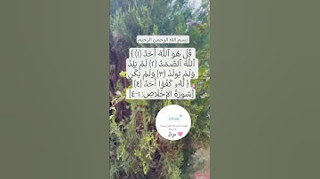 سورة الإخلاص🩷 #egzonibrahimi #دعاء #اكسبلور #تيك_توك #allahuakbar #ترند #quran #لايك