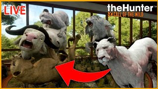(live)Grinding For An Albino Lion to Complete an all Albino Multimount!|theHunter Call Of The Wild