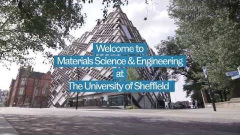 Life in the Department of Materials Science and Engineering