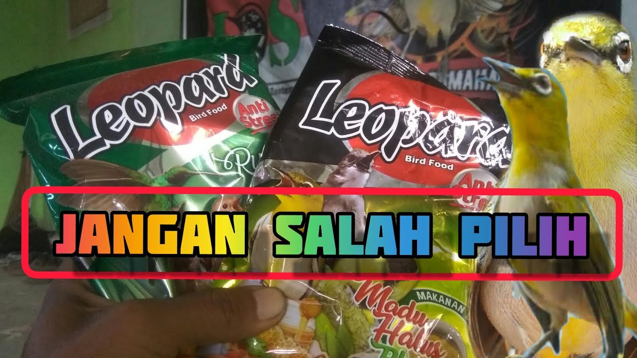 Perbandingan leopard kuning dan hijau untuk pakan burung - YouTube