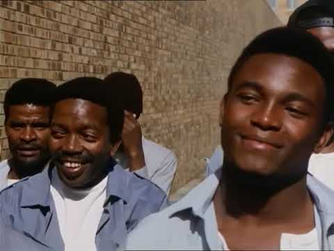 Iankebis Saocari Tavgadasavali ქართულად კომედია