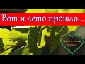 ЧТО МЫ УСПЕЛИ ЗА ЛЕТО? - 30 МИНУТ ОБЗОРА