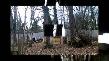 le 02/03/13 asso camoleon