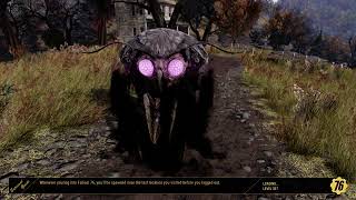 Fallout 76 21:9 - How to get 9x Treasury notes in under 8 minutes every day