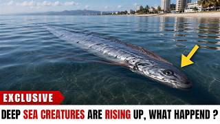 The ATLANTIC SHIFT Pushed Every Deep Creature To the Surface - A "Hidden" Warning IGNORED!