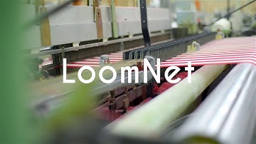 Pointcarre LoomNet Software