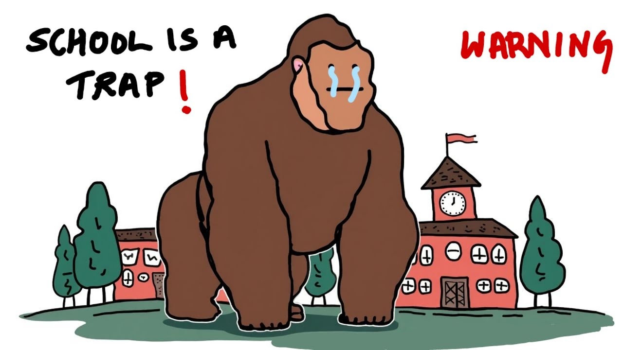 School is a trap explained with monkey || Primate universe 