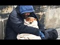 Heartwarming Videos of Humans Helping Animals That Tug at Your Heartstrings | Animals in Need