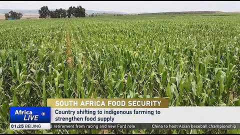South Africa turns to indigenous farming for food security