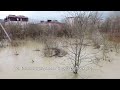 Выход из берегов реки Псекупс, наводнение 19 февраля 2023, г. Горячий Ключ Краснодарский край
