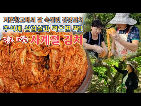 🔴 추석 음식에 속이 느끼하다 싶으면 <strong>묵은지로</strong> 달래요. 묵은지 가격