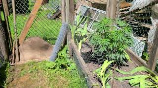 West Coast B.C Outdoor Update