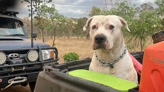 Exploring a remote gorge in the Kimberleys with new toys - Part 2