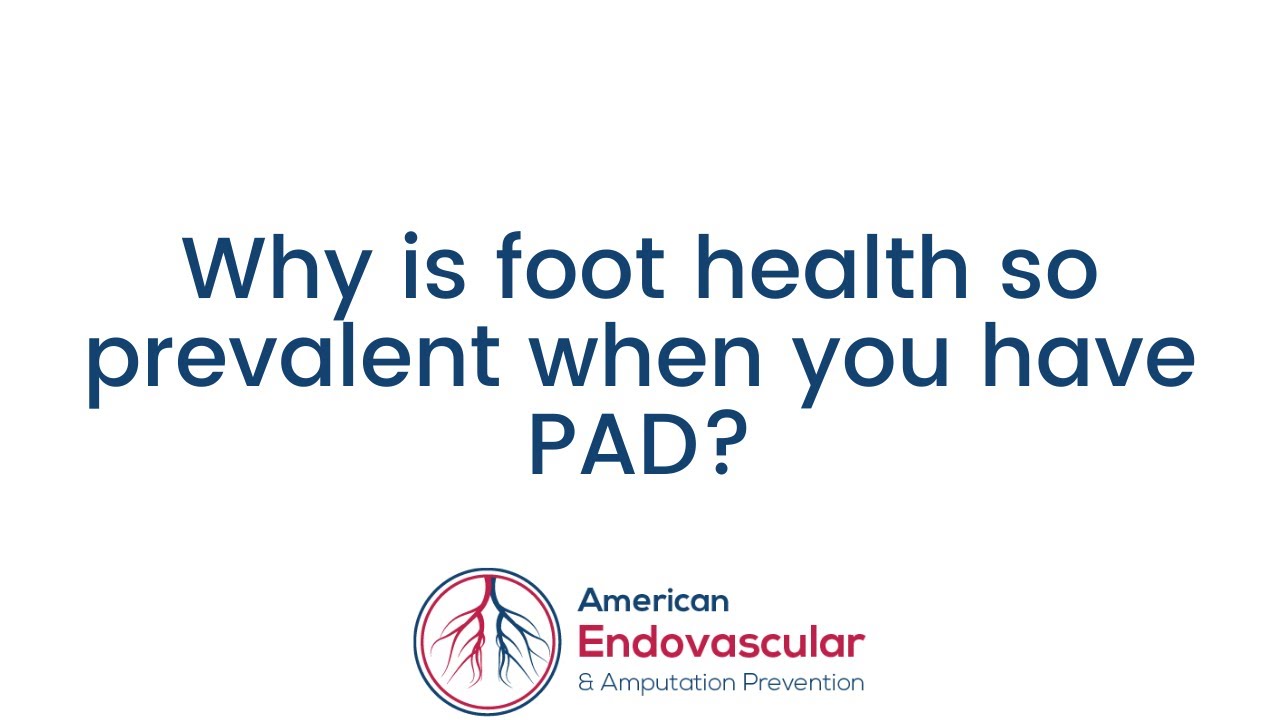 自由与和平橄榄树纹身设计– Tattoos Wizard Designs, image size:1280x720