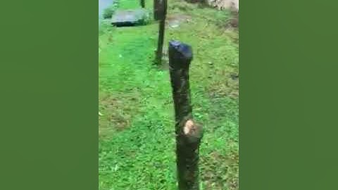 Lũ như Đại hồng thủy ở Lai Châu 6-2018