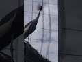 Beautiful Bird #Vietnam #viralvideo #ytshorts #worldtrip