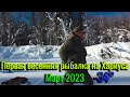 Первая Весенняя Рыбалка на Хариуса. Март 2023, а мороз давит! Рыбалка в Коми.