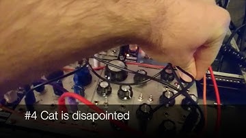 Modular tutorial : Cat patch