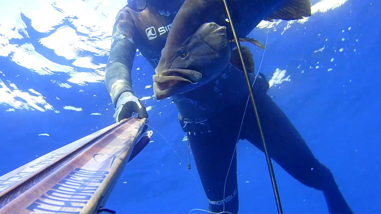 Pescasub: Thorpedo Spearguns VS Predators