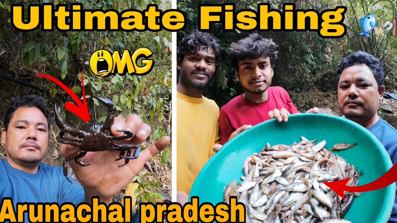 Unlimited Fishing in Arunachal’s Stream! 😱 इतनी सारी ताज़ा मछली पकड़ी!