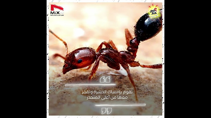 تعرف على النملة البطلة !!