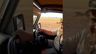 Man Driving Jeep Beside a Cheetah 🐾 | Incredible Safari Moment in 4K