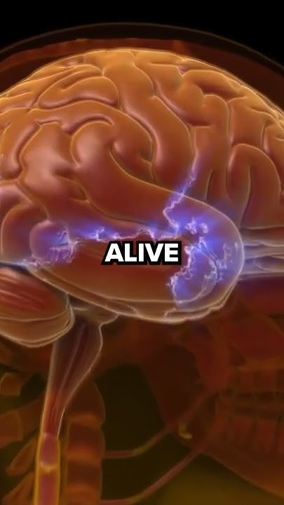 why-do-headaches-hurt-youtube