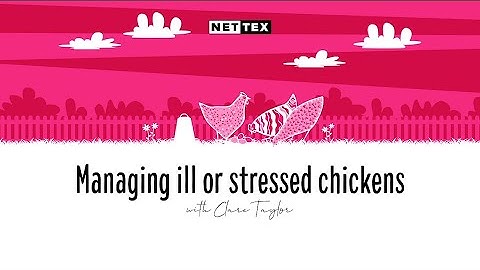Managing Ill or Stressed Chickens with Clare Taylor