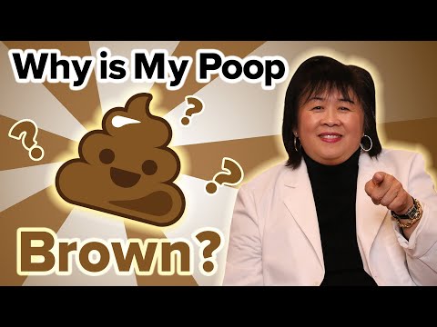 Видео: Почему Poop Is Brown