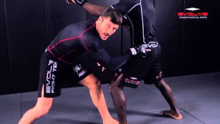 MMA: Takedown + GNP KO Combination | Evolve University