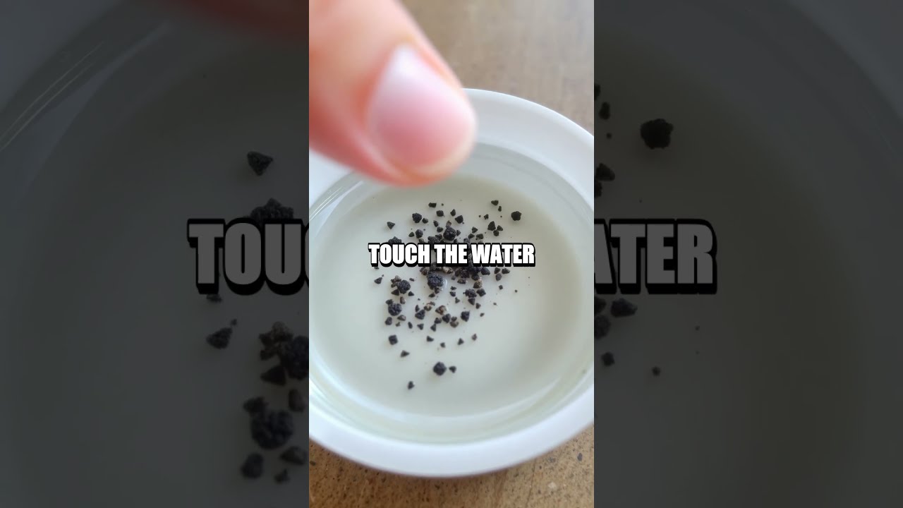 The Dancing Pepper Experiment