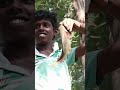 சின்னபையன் 👦தூண்டிலில்🎣 மாட்டிய ரோகு மீன் 🐠🐬 small boy catched Rohu fish🐳 #trending