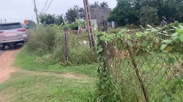 Dat mặt tiền đường nhựa hàm liêm