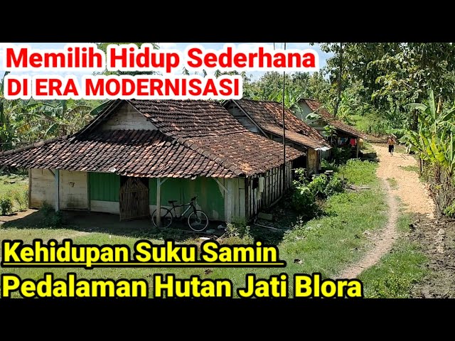 Kehidupan Tersembunyi Orang Samin Pedalaman Hutan Blora class=