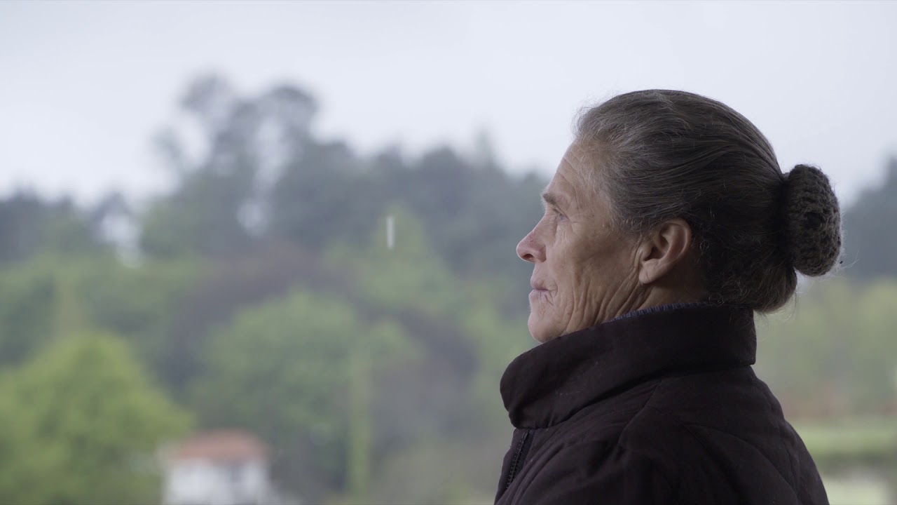 Atrás de tempo, tempo vem - YouTube