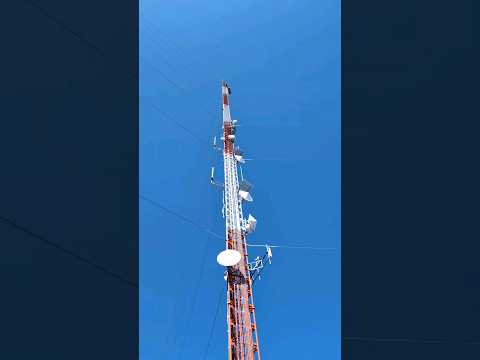 Tower Visit and the Hogue Mysto!