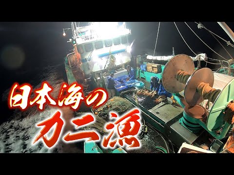 【過酷】日本海の松葉ガニ漁に完全密着!!  カニとともに生きる家族