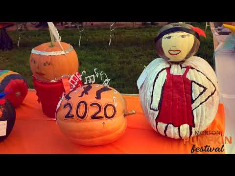 2020 Pumpkin Decorating Contest - YouTube