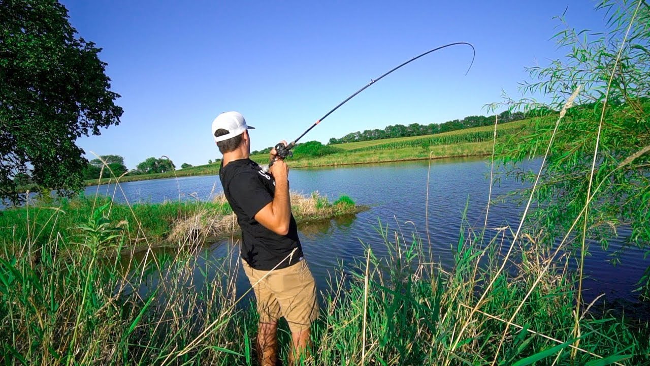 best bass lures for summer pond fishing