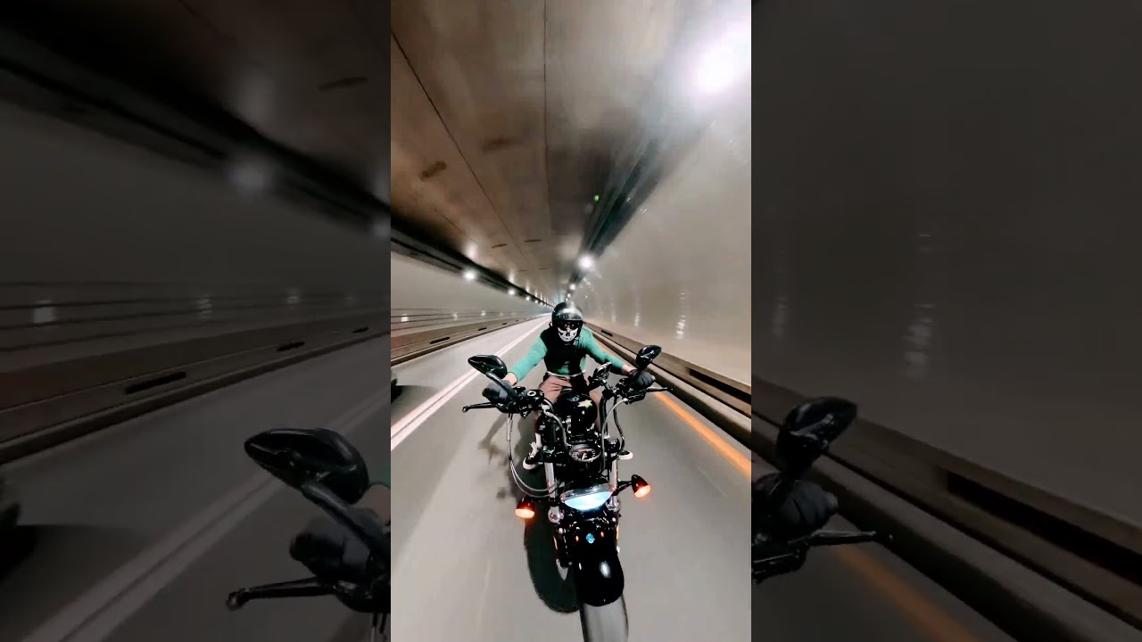 cruising #harleydavidson48  #harleylife #harleydavidsonmotorcycles  #sportster1200