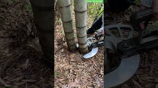 🎋🔋 Heavy-Duty Cordless Electric Bamboo Cutter and Grove Maintenance