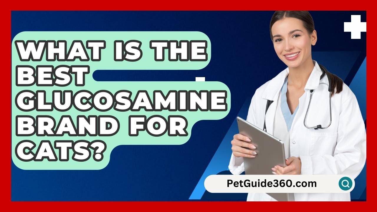 What Is The Best Glucosamine Brand For Cats? - PetGuide360.com