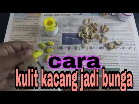 Cara bikin bunga  dari kulit kacang  YouTube